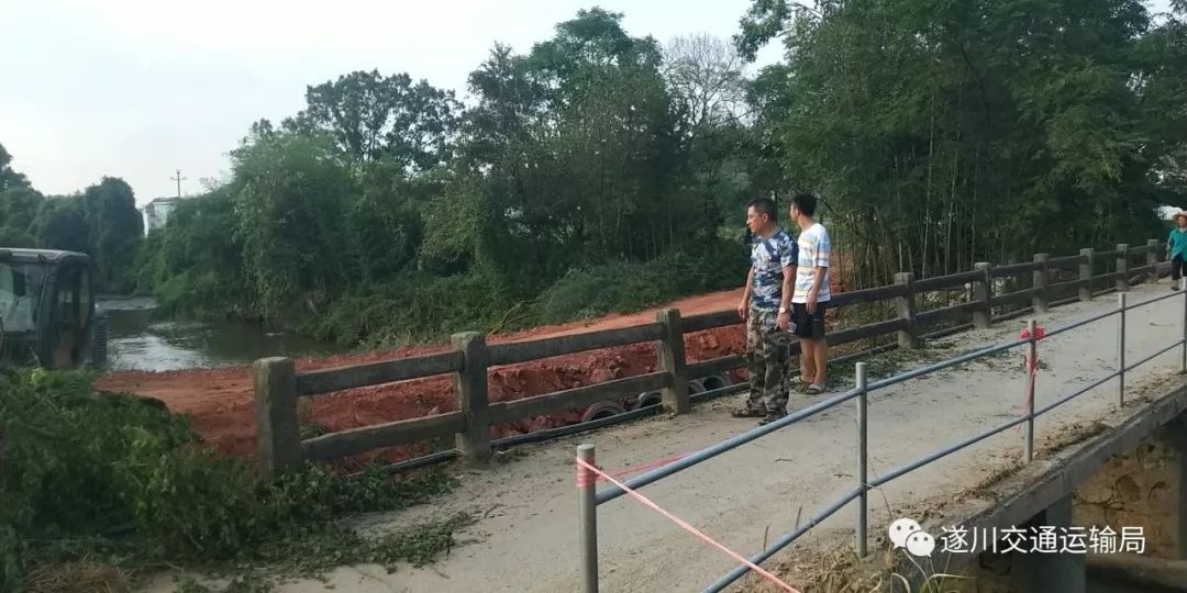 碧洲镇人口_人口普查图片