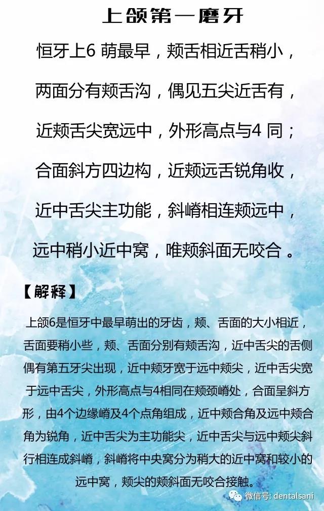 牙医干货值得收藏的口腔解剖图和牙齿记忆口诀