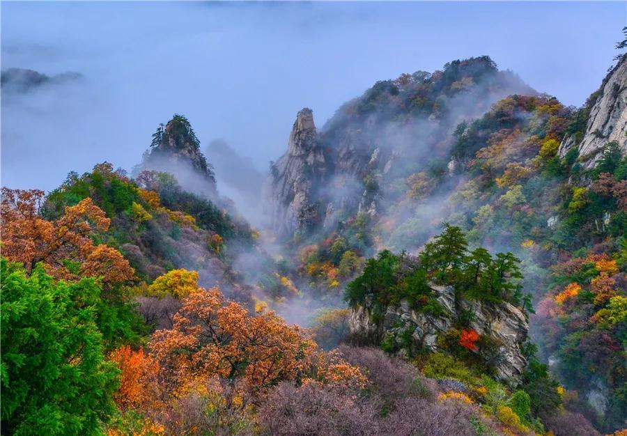 嵩县有多少人口_嵩县白云山图片