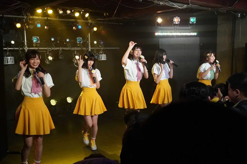 饭圈女孩和追星女孩一样吗 8f6fc6d88e8645629be89c05cacb3741.jpeg