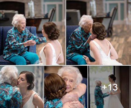 拍奶奶的摄影师 9dab6dd79e17461e9c891dd2f588e64b.jpeg