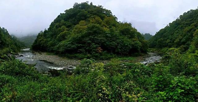 陇南印象之康县阳坝_景区