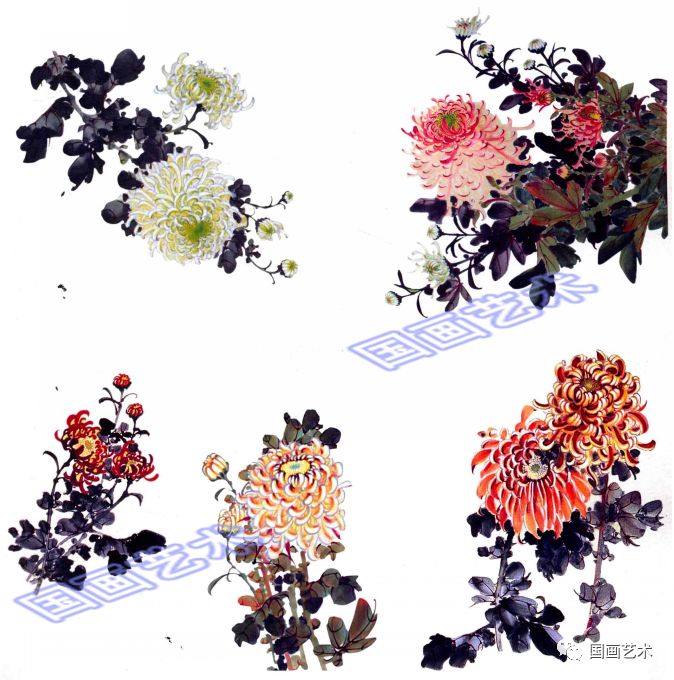 图文教程:中国画技法之写意菊花