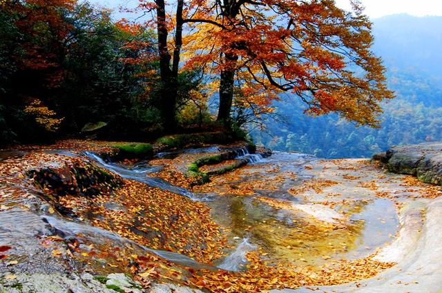 彝良小草坝景区