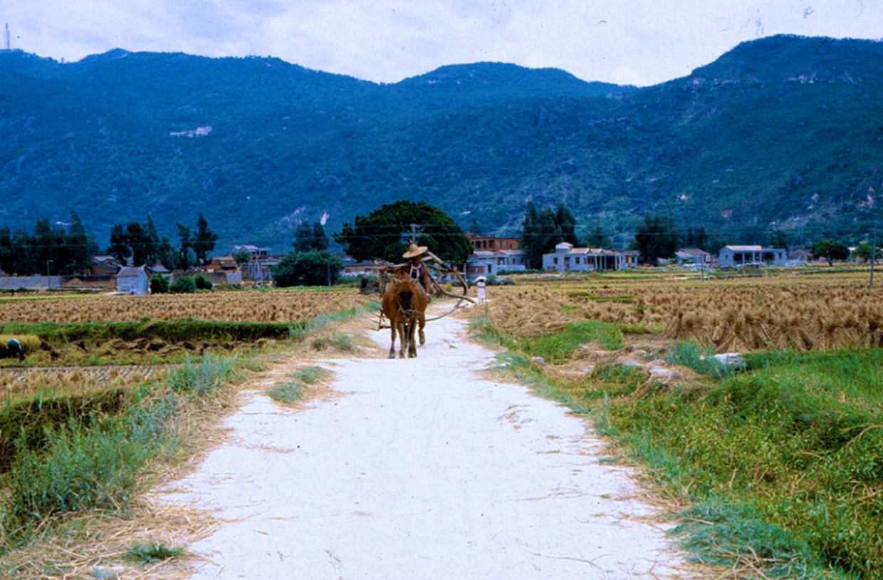 80年代初年中国农村的老照片