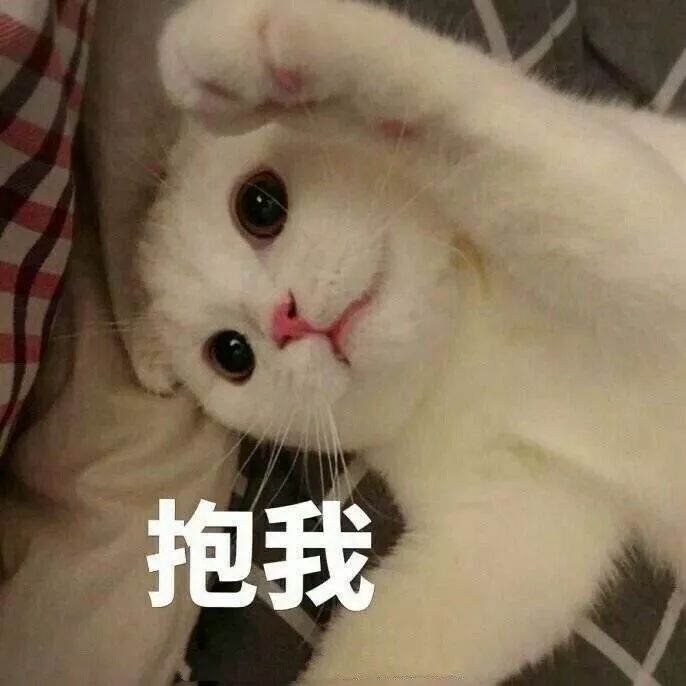 沙雕表情包 | 假如我年少不自卑 妹妹肯定一大堆