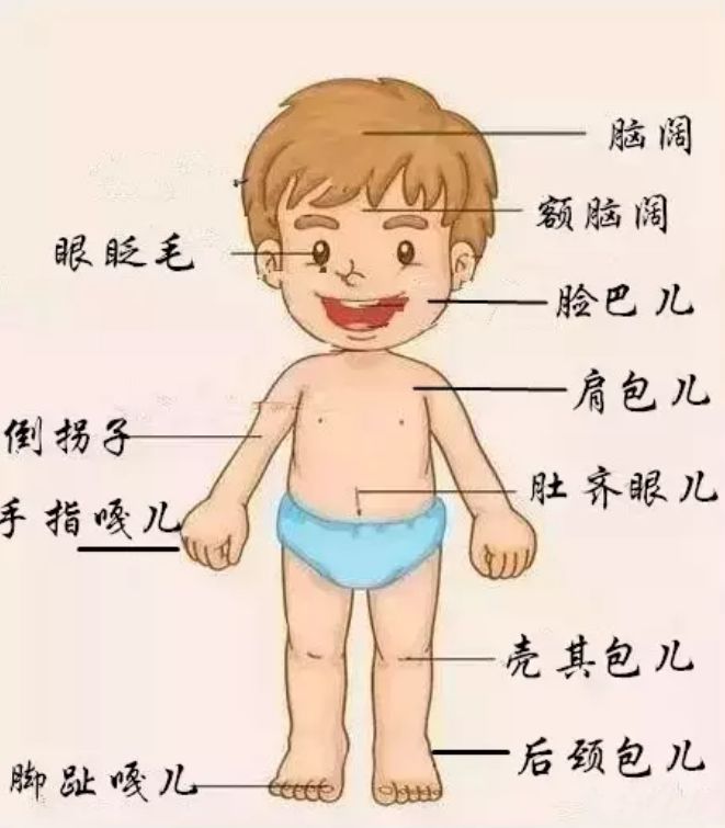 长阳人口数量_画师长阳(2)