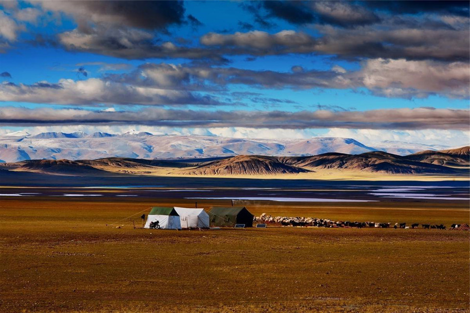 中国最荒芜的县16000平方公里却没一棵树种活一棵树奖励30万