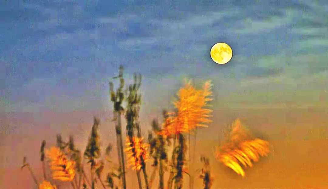 这个中秋,你忆起了谁,又想说给谁听?