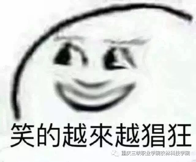 拿起相机准备就绪 当然是从练习军体拳开始 summer 集合 进行团体