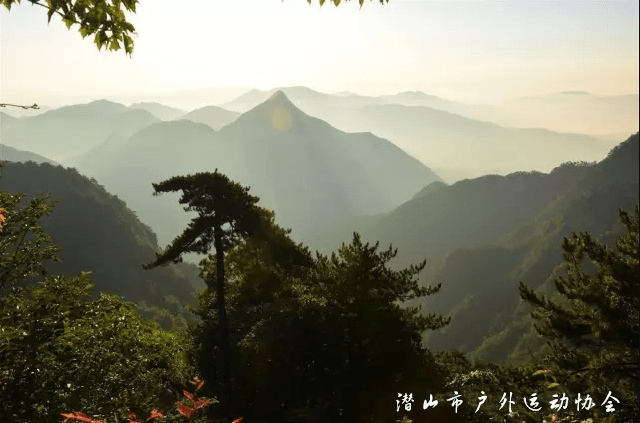 金紫山简介