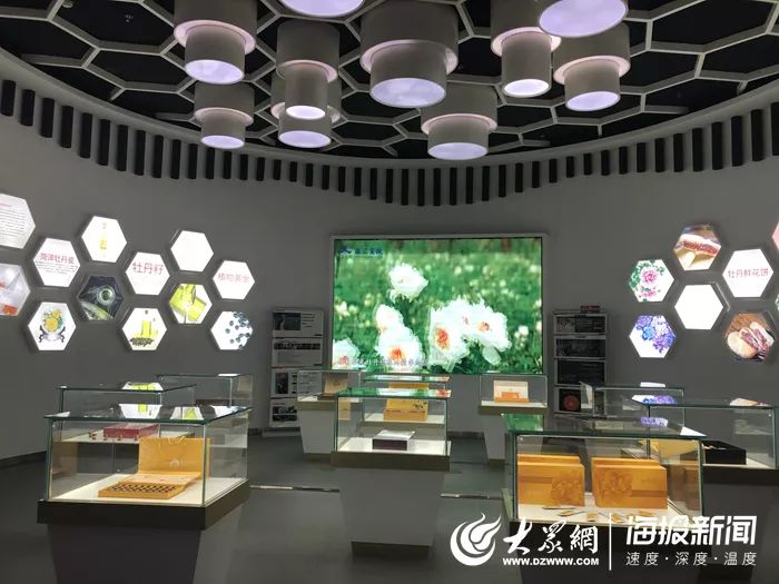 海汇优品运用“电商+新零售”的营销模式加快菏泽牡丹产品“走出