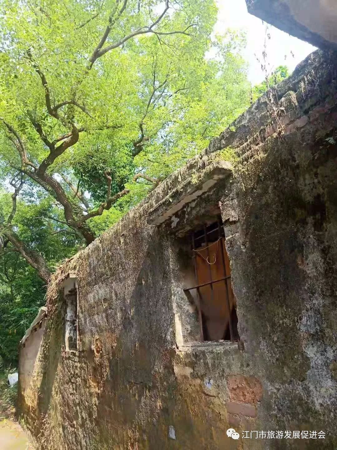 电子琴好弹的流行歌曲谱子
