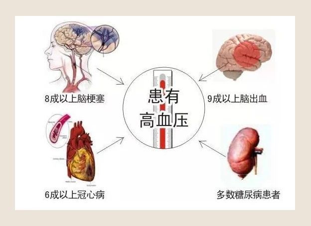 最细的阴茎_阴茎 搜狗百科