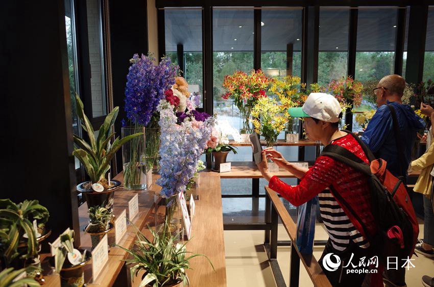 北京世园会迎来日本国家日“插花对决”展现另类花艺文化