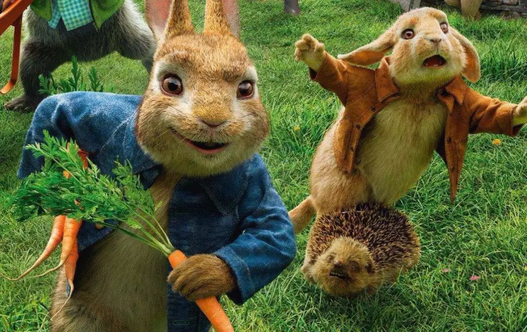 Peter Rabbit Soundtrack: A Melodic Journey Through Beatrix Potter's Enchanting World