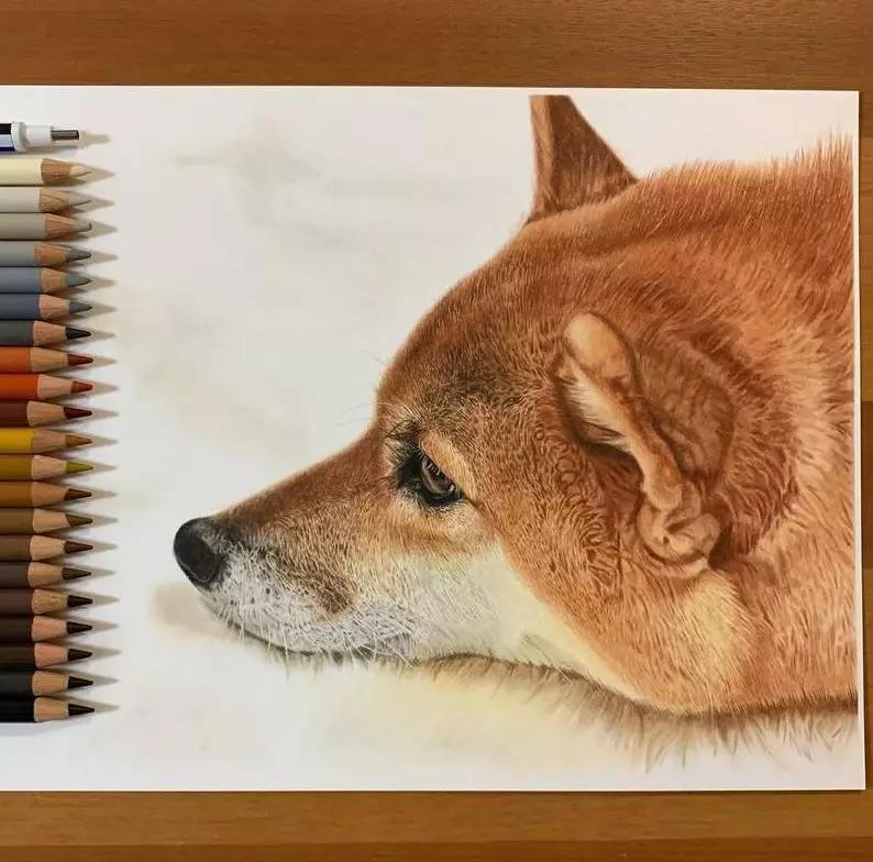 著名日本画家 畠中 光享画伯作品 座 柴犬