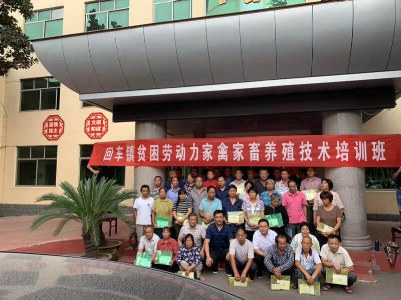 西峡县回车镇:举行养殖技术培训 志智双扶增强动力_柴国珍