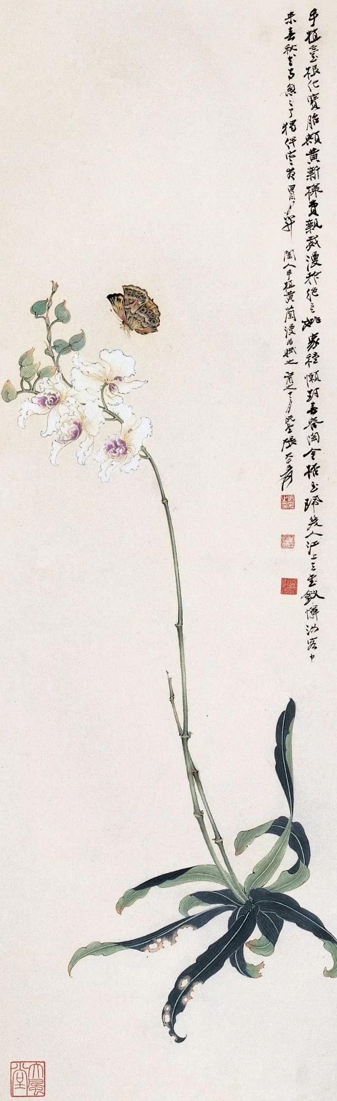 珍藏｜张大千花鸟画（100幅）_搜狐网