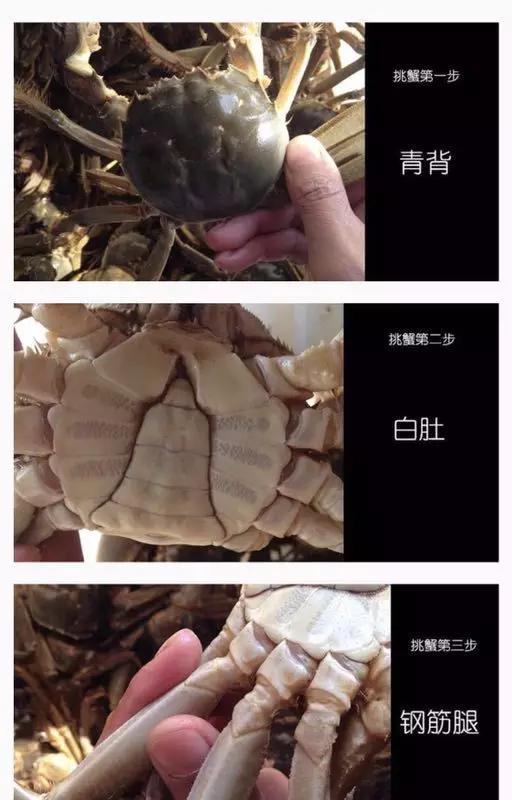 吃螃蟹喝茶了怎么办