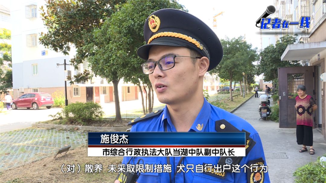 市综合行政执法大队当湖中队副中队长施俊杰:一,对散养,未采取限制