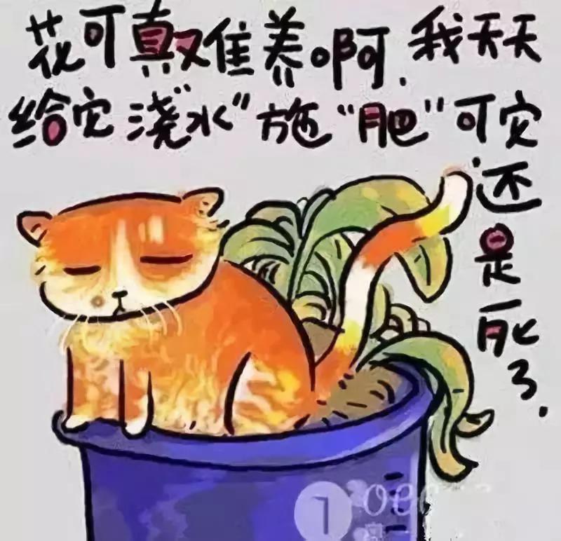 338504a583754c898e31dd5924013831.JPG