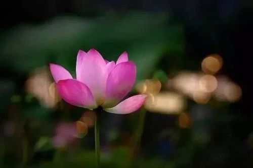 上善若水的真正境界 3c308c8a104a44ffa9ecd41da15458c2.jpeg