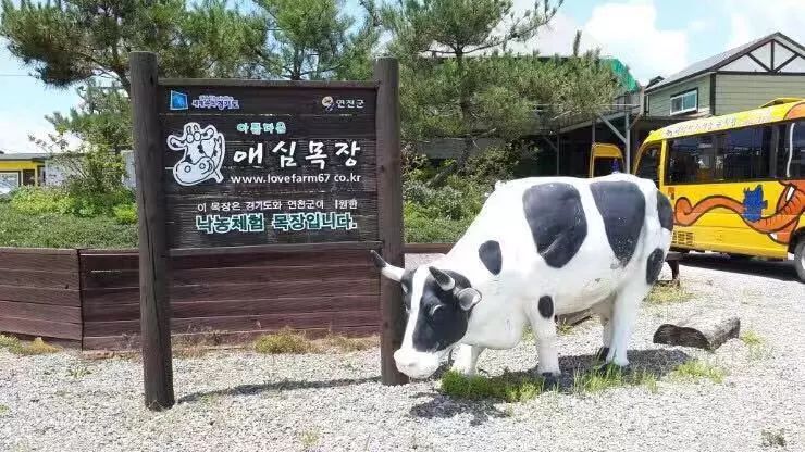 牧场体验活动跟着我们一起去韩国牧场吧