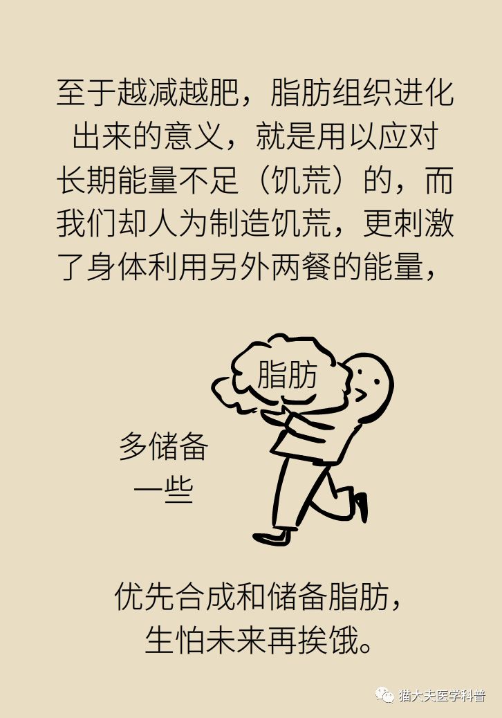 减肥不能吃的东西一览表 48b6426841a246af9d059a1c33de904f.jpeg