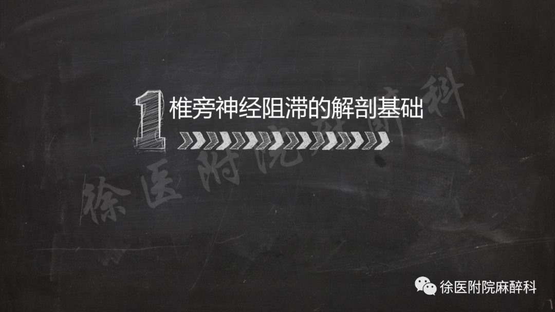 超声引导下胸椎旁神经阻滞的临床应用