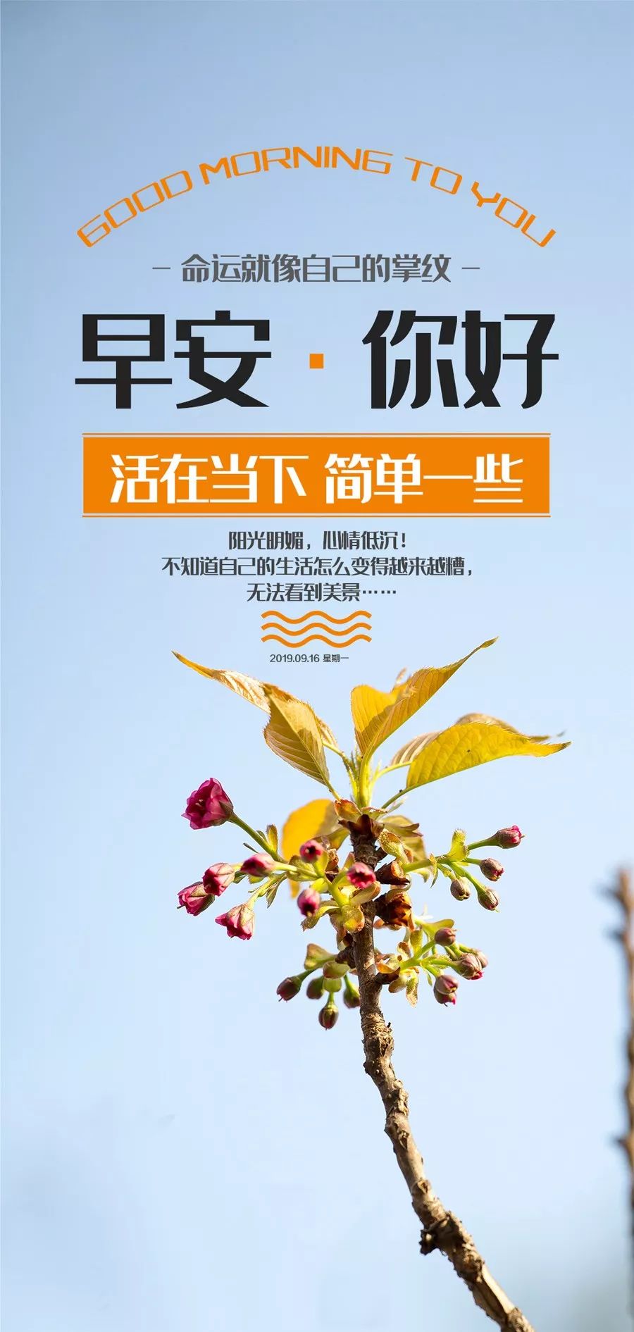 新的一周早安心语正能量语录分享经典早上好图片带字正能量