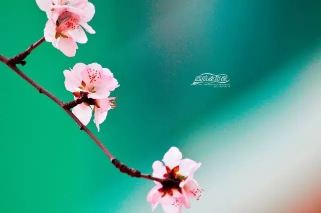 54e96267a6e84abd8c9c5622f04a5670.jpeg