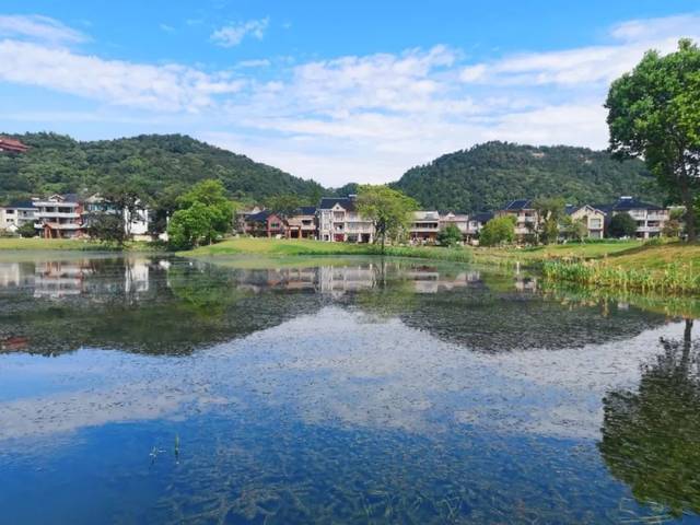 二都村内 一个郁郁葱葱的水下世界 据了解,下渚湖街道(管委会)刚刚