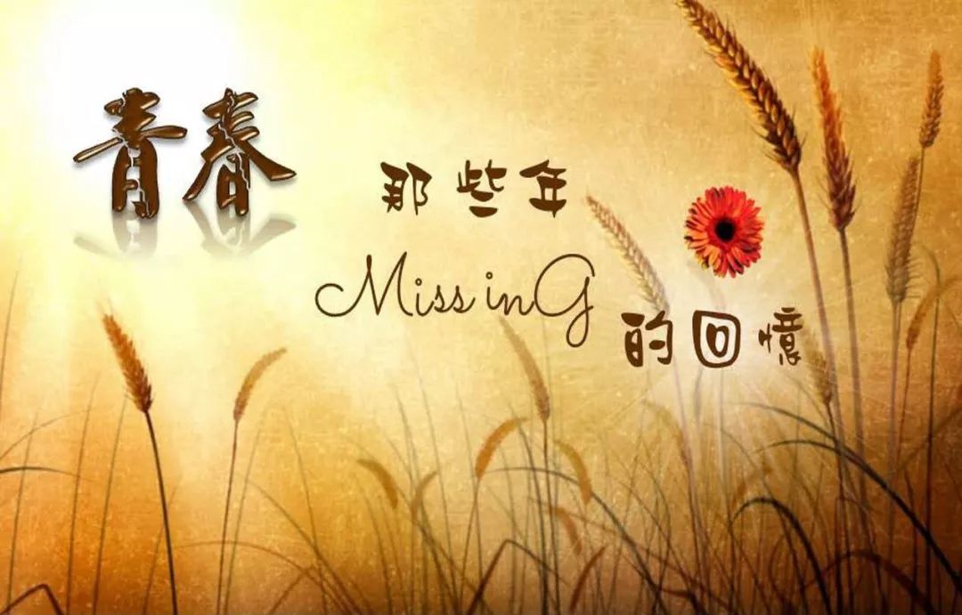一晃就老了曲谱儿_一晃就老了曲谱简谱