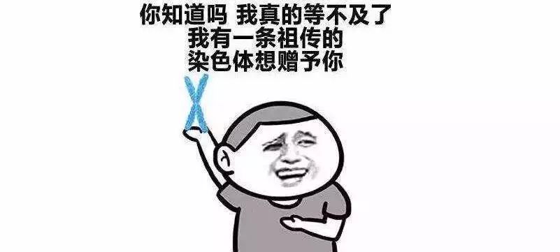 有人指点自己的穿搭怎么怼他_微信发个狗头怎么怼他(2)