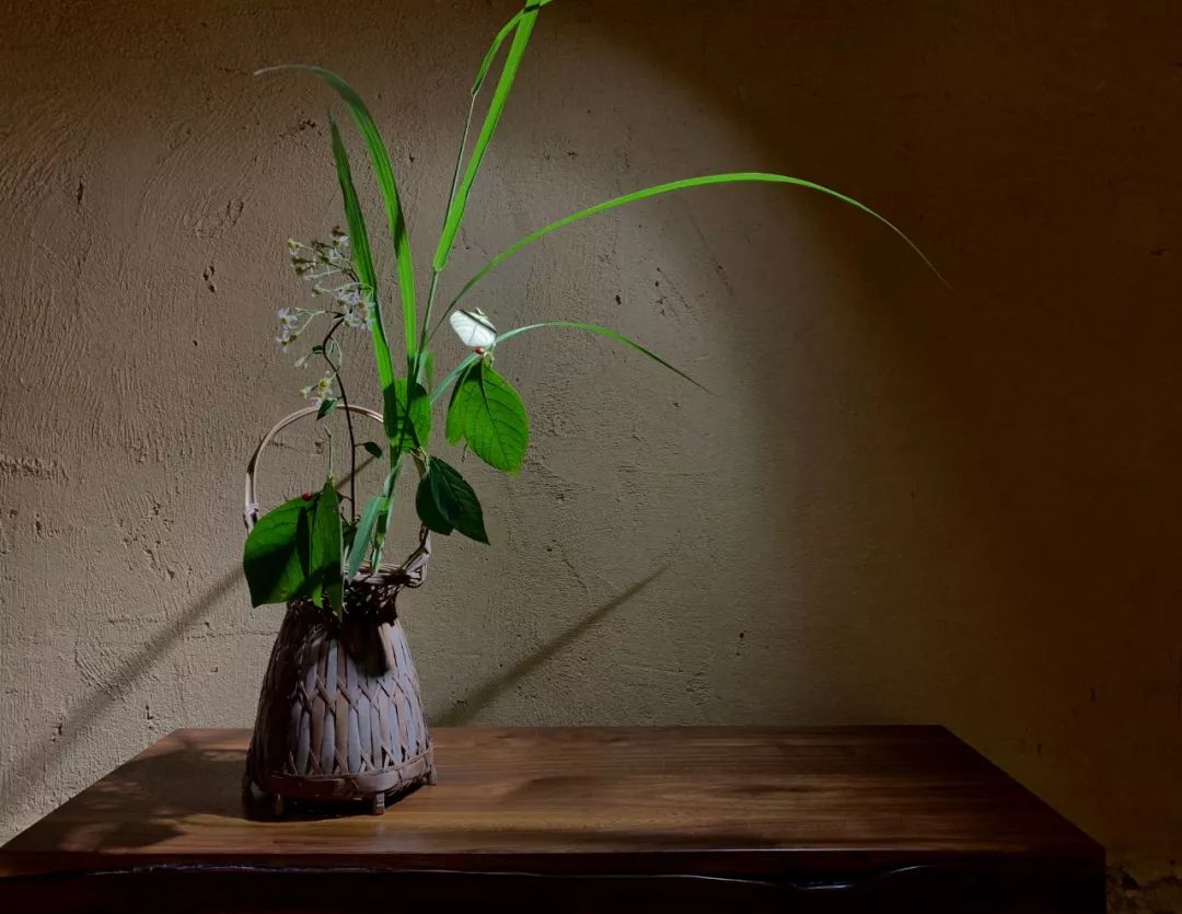 山高月圆花相见|2019相见山谷艺术节"高岭之花"花艺邀请展开幕