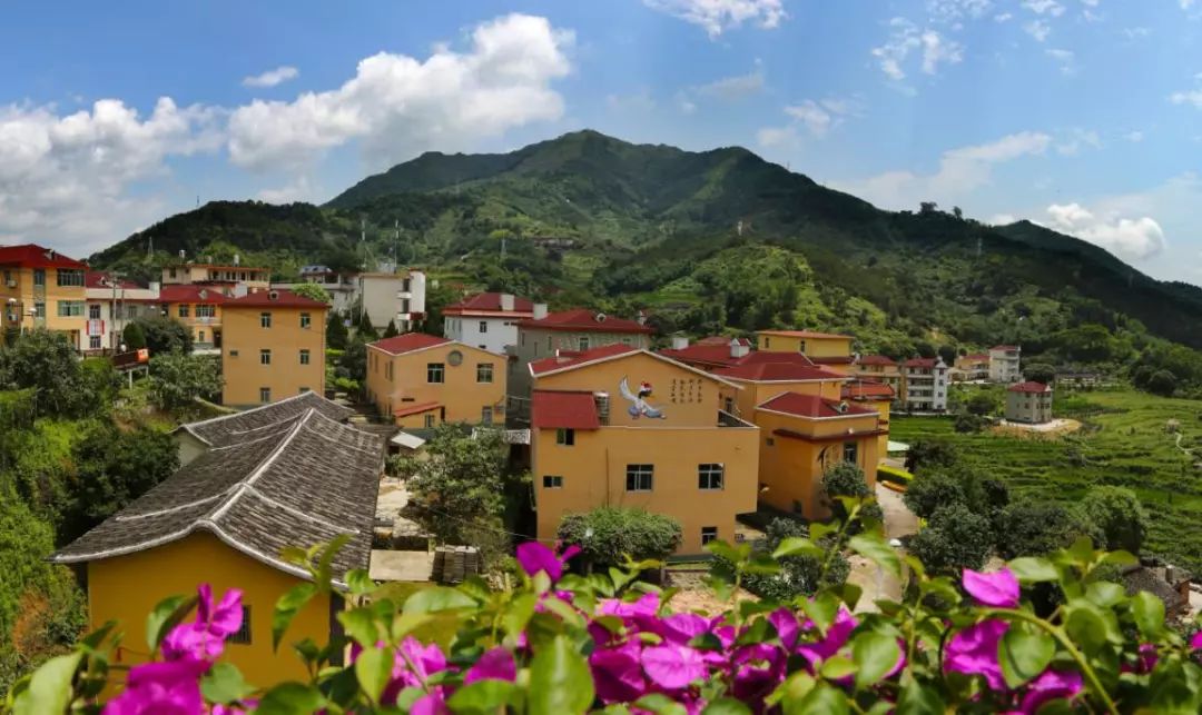 优秀!大羽村,佛岭村,围头村上榜"金牌旅游村"