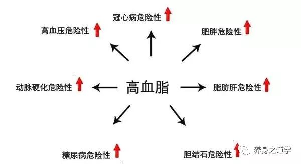 82f0442ed92445d384200afa6648291f.jpeg