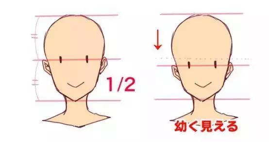 (关于脸的比例)