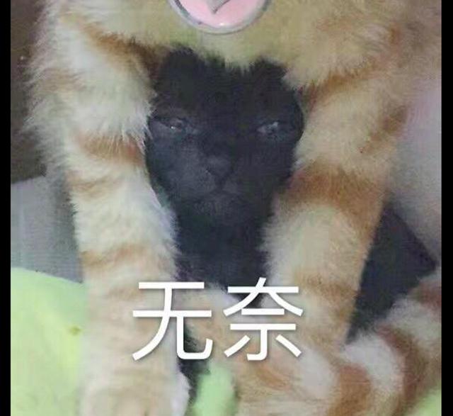 87f80809c6e24269a68f0258b2dd79a4.jpeg