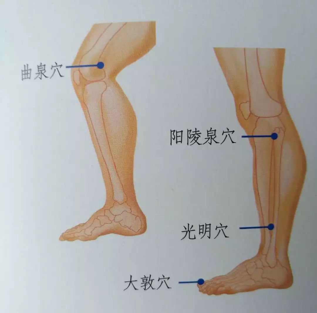 养生堂口苦偏头痛大腿粗原来是肝胆经堵了