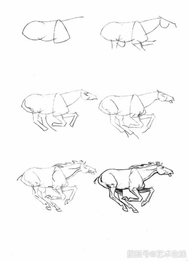 教你40种马的结构画法简单易学
