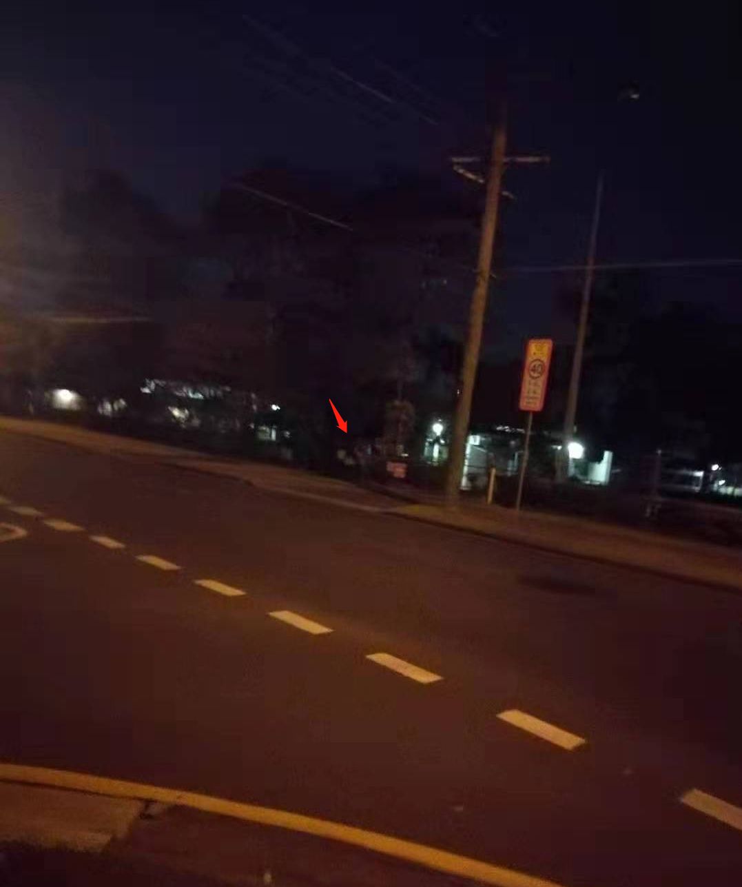 自己反应及时,跑到了马路对面 不过由于天黑又很害怕 拍下来的照片