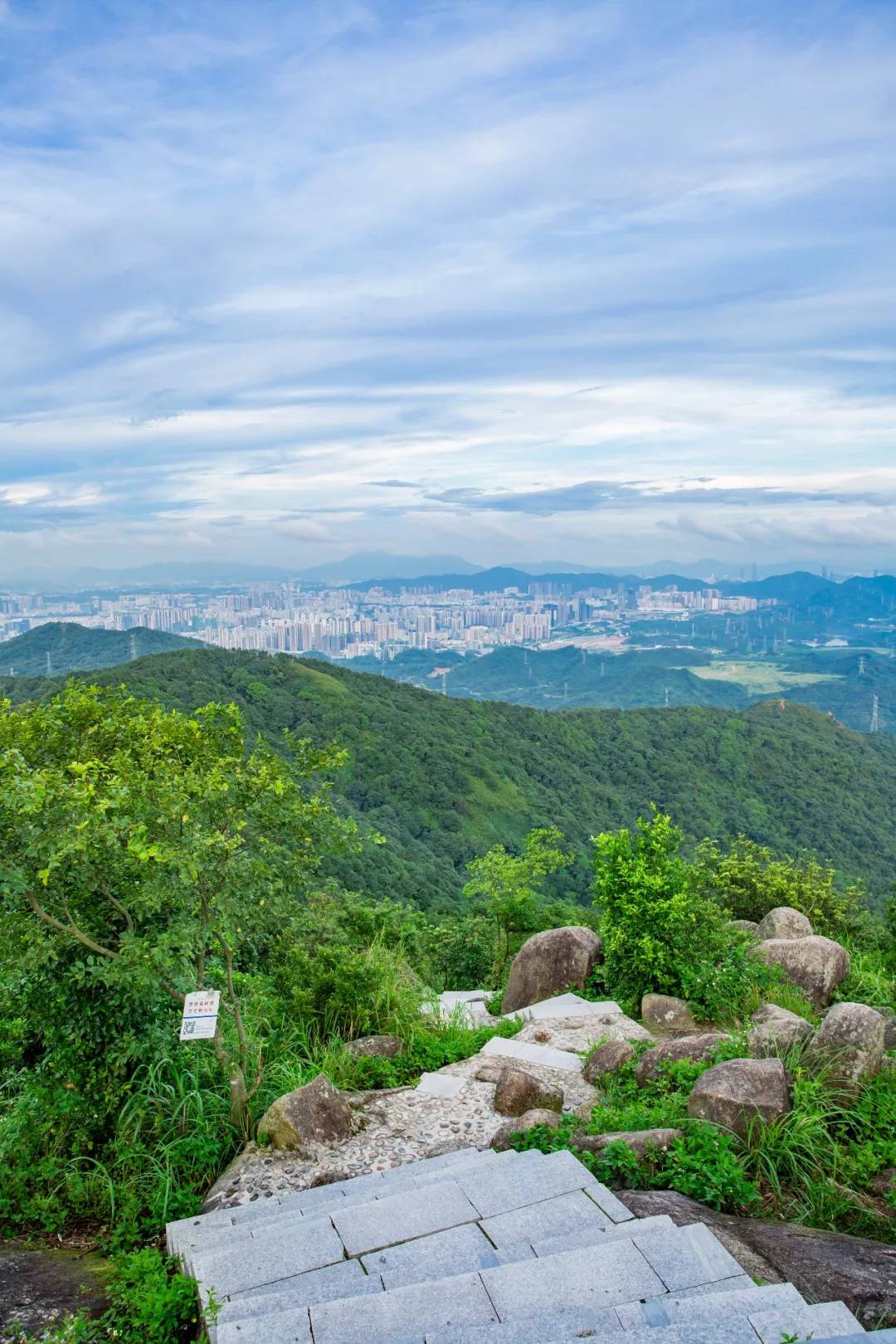 羊台山 羊台山横跨宝安,龙华,南山三个区,主峰海拔587米,是深圳西部