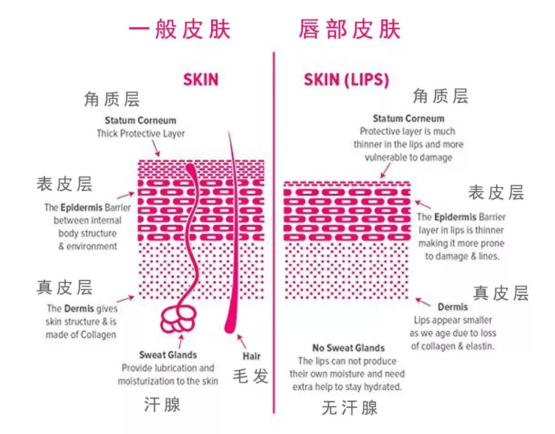 人口自然老化_人口老化(3)