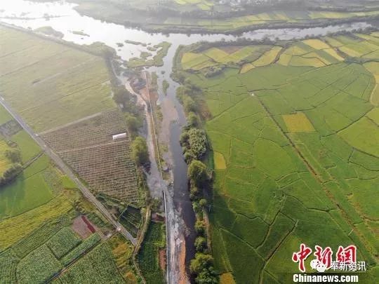 巨鹿县北坚台村人口数量