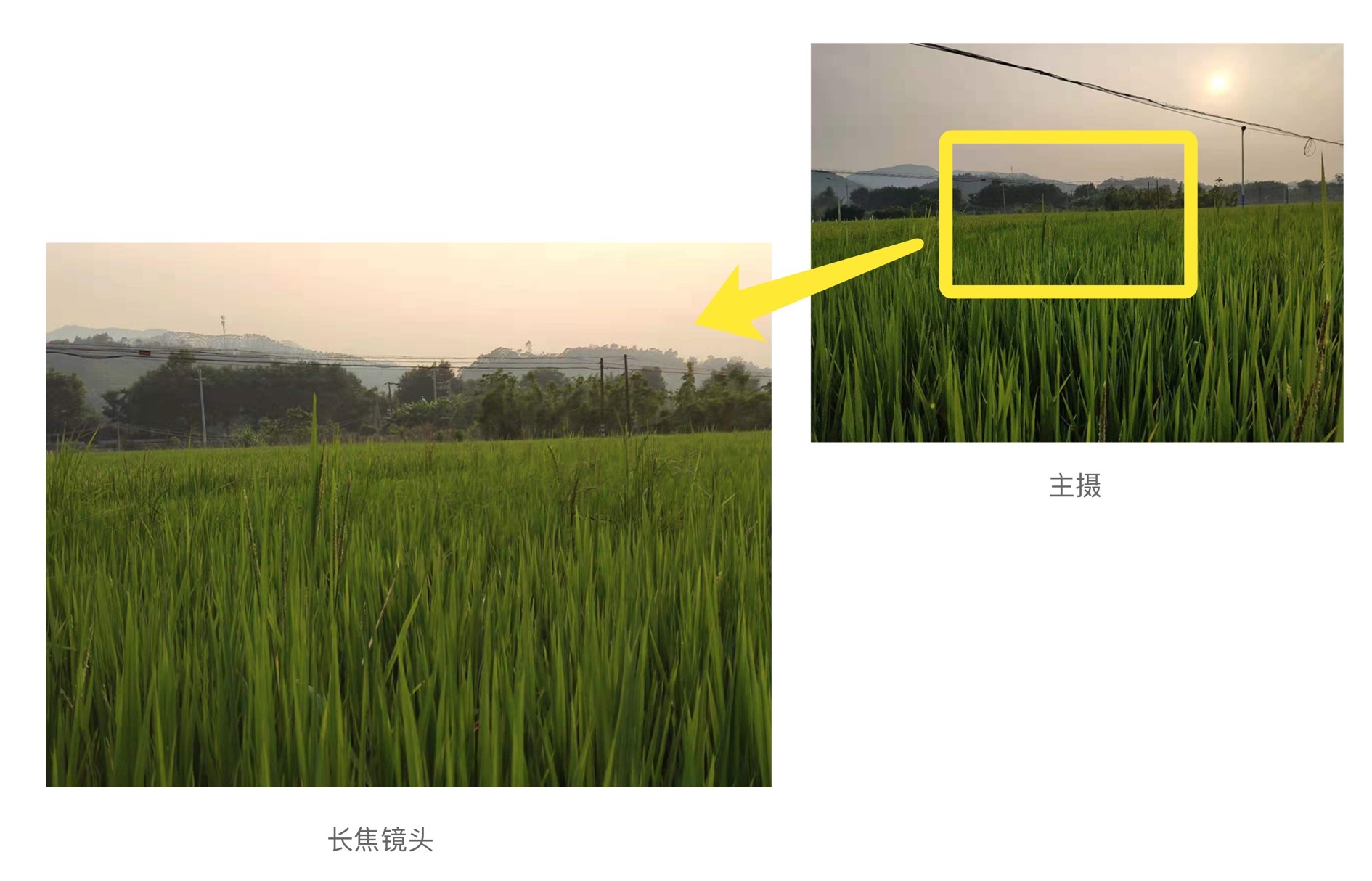 iPhone11��ֵ���������,ֻ����һ��