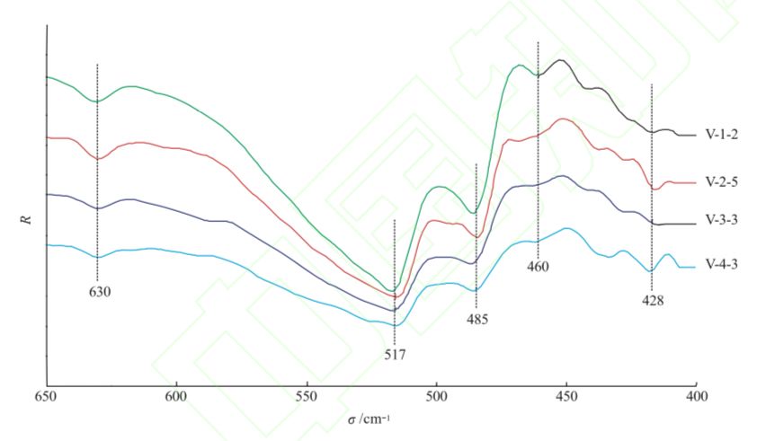 样品在指纹区均显示5个红宝石的本征峰,分别为:517cm-1处的强吸收峰