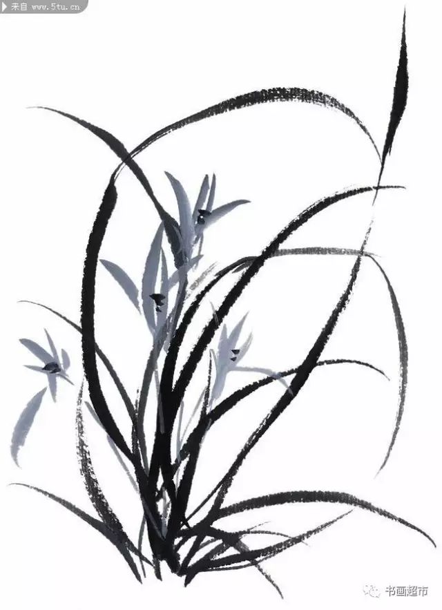 花鸟画口诀,总结的太好了