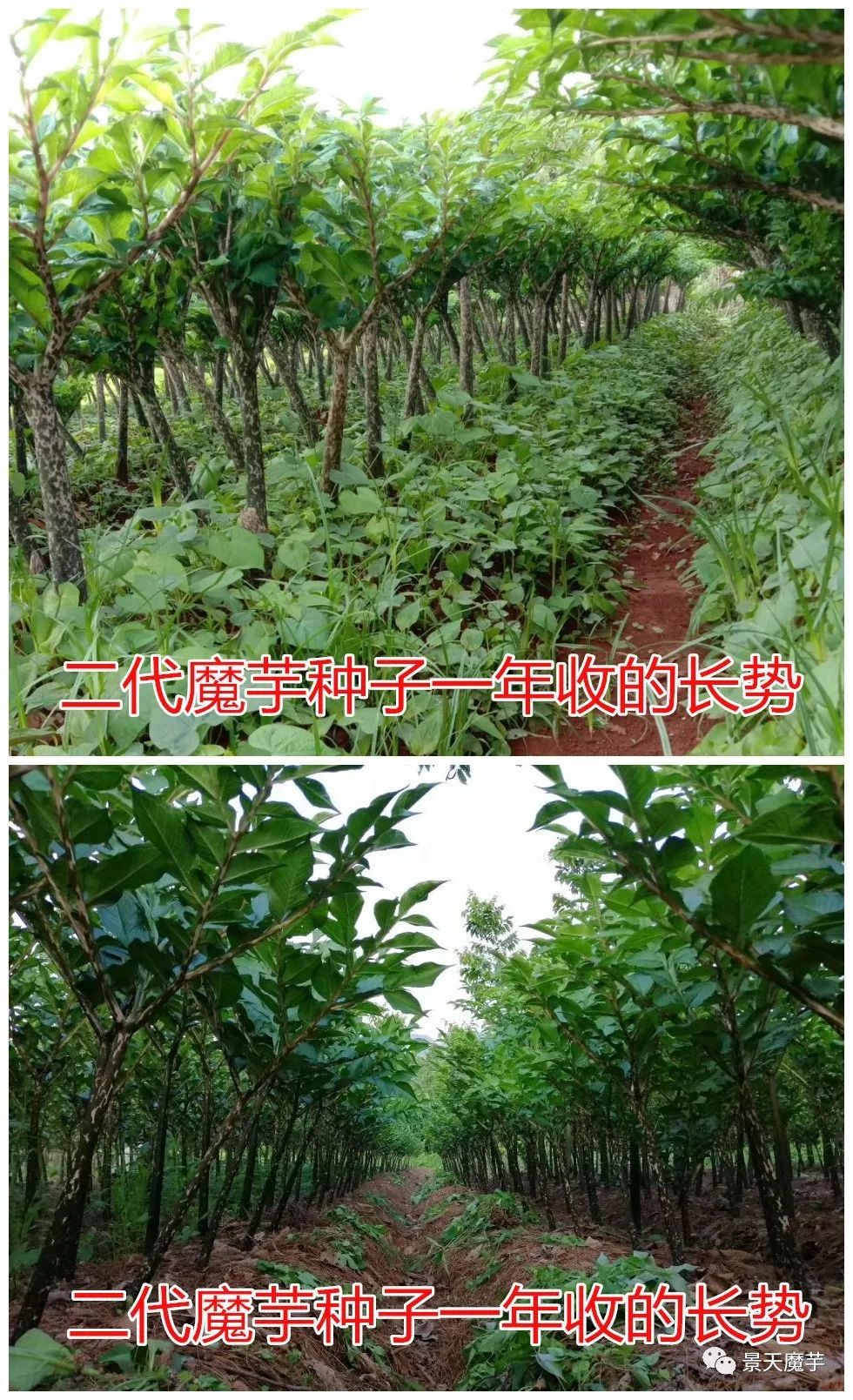 a368c832de7741b8873c620ac19c9279.jpeg